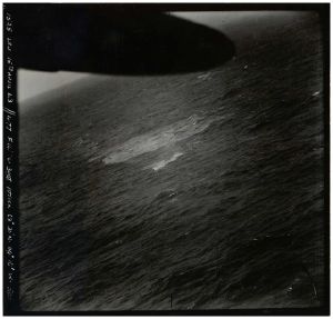 Esben Aakjærs fotoalbum - Nationalmuseets Samlinger Online